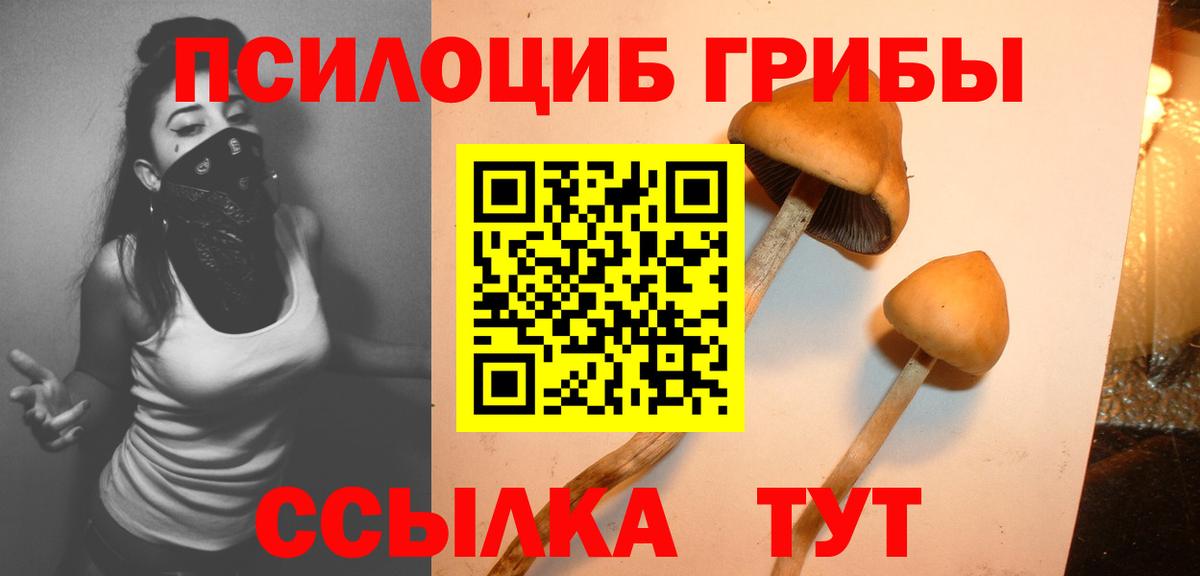 Галлюциногенные грибы MAGIC MUSHROOMS Рязань